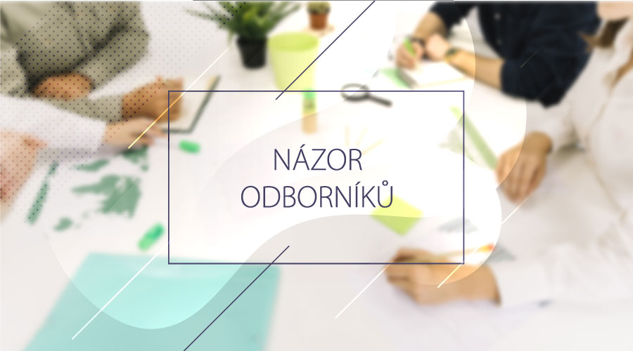 Názor odborníků. | foto: ISP21